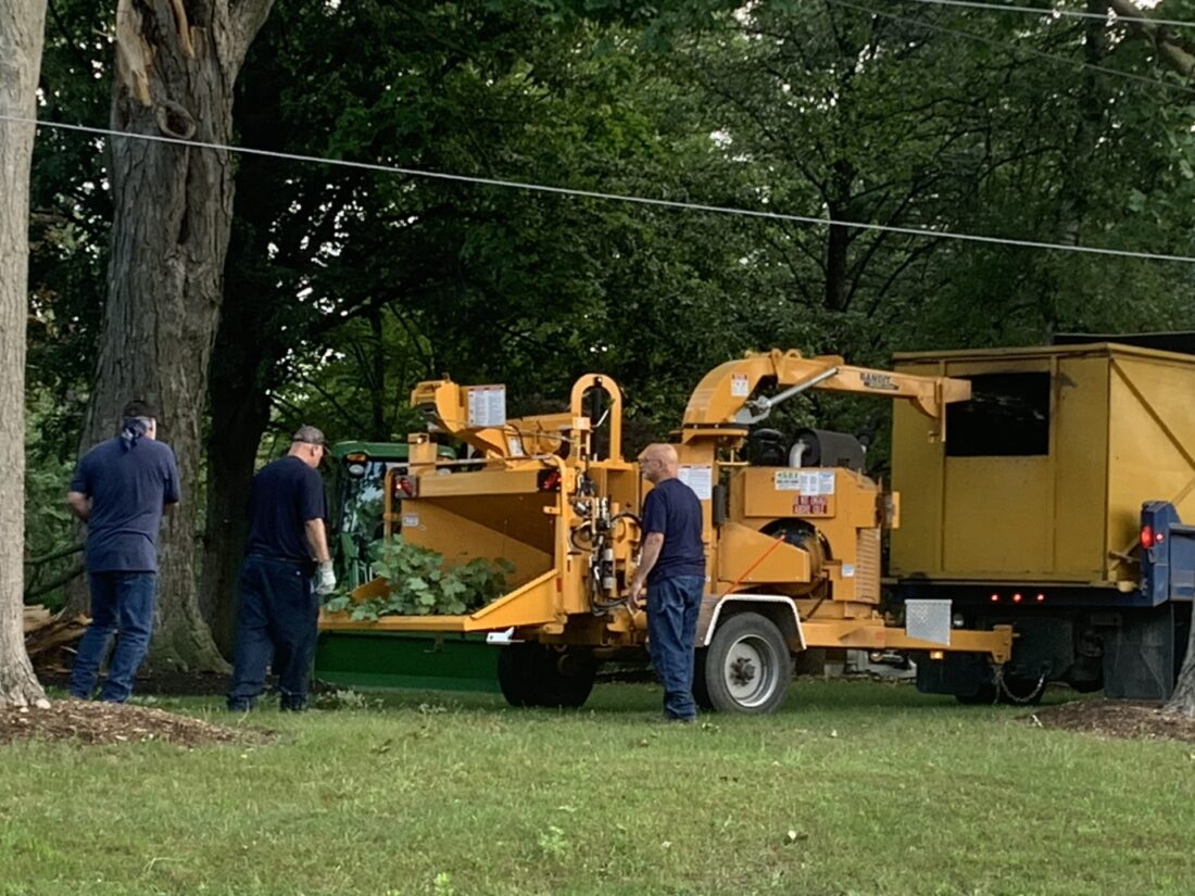 Crews work to grind up fallen tree limbs | News, Sports, Jobs ...